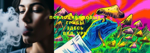 соль ск Верея