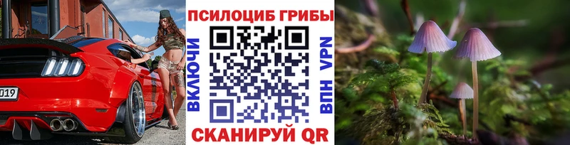Псилоцибиновые грибы Psilocybine cubensis  Благовещенск 